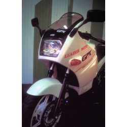 Bulle Haute Protection Ermax - Kawasaki GPX 600 Warbird 1988-90