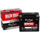 BS BATTERY Battery BGZ20H SLA MAX Maintenance Free Factory Activated