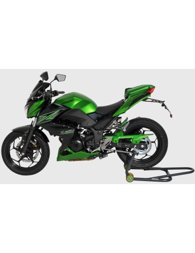 Garde Boue Arrière Ermax - Kawasaki Z300