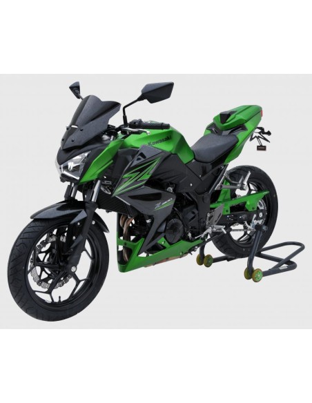 Garde Boue Arrière Ermax - Kawasaki Z300