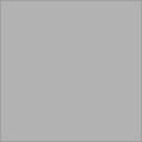Light Satin Grey [NH389M]