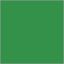 Vert métal foncé 2020(candy lime green 3 [51P])