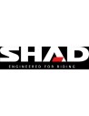 Shad
